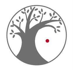 Amaranta Bio Bistrot, Rovereto orari di apertura