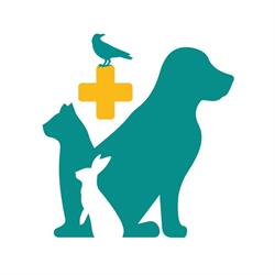 Ambulatorio veterinario Lamarmora, Brescia orari di apertura