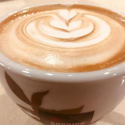 Caffetteria La Torre, Treviso orari di apertura