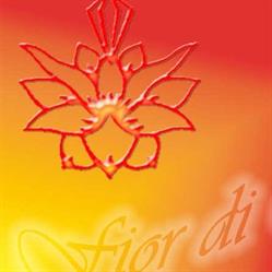 Centro Yoga Fior di Loto, Cecina orari di apertura