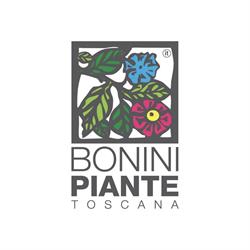 Bonini Piante Toscana, Pescia orari di apertura