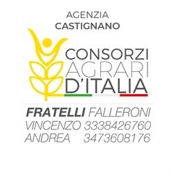 Consorzi Agrari D'Italia - Castignano, orari di apertura