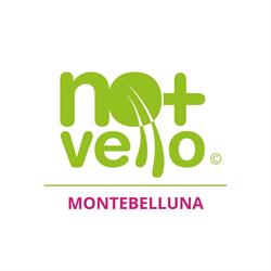 Nomasvello Montebelluna, orari di apertura