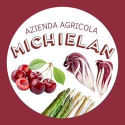 Azienda Agricola di Michielan Paolo, Quinto di Treviso orari di apertura