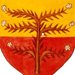 Studio Medico Malaspina, Massa orari di apertura
