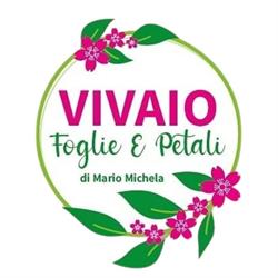 Foglie E Petali Vivaio, Latina orari di apertura