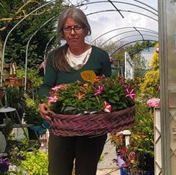 Giardino Vivaio del masso di toja elena, Trana orari di apertura