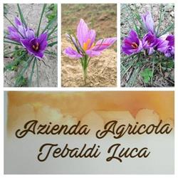 Azienda Agricola Tebaldi Luca, Castelbelforte orari di apertura