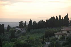 Borgo Renaio Guardistallo, orari di apertura