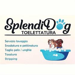 SplendiDog Toelettatura, Cavallino orari di apertura
