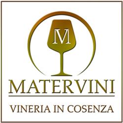 Mater Vini Cosenza, orari di apertura