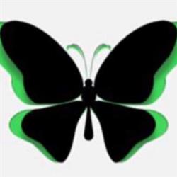 Mariposa Cafè Cremeno, orari di apertura
