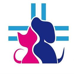 Clinica Veterinaria Regina, Cinquefrondi orari di apertura
