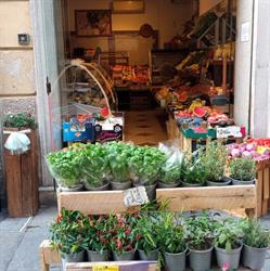Frutta e verdura di Antonella, Albenga orari di apertura