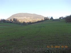 Azienda Agricola e Trasformazioni prodotti propri Ruscio Vincenzo, Pontecorvo orari di apertura