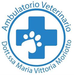Ambulatorio Veterinario Dott.ssa Maria Vittoria Moriotto a Roncade, orari di apertura