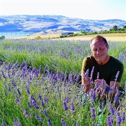 Fattoria la Farfalla, Larino orari di apertura