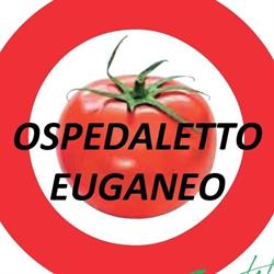 Pizzeria pomodoro Ospedaletto, Ospedaletto Euganeo orari di apertura
