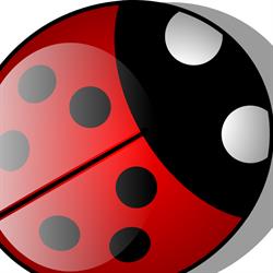 Coccinella, Oleggio orari di apertura