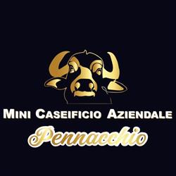 Mini Caseificio Aziendale Pennacchio, Santa Maria Capua Vetere orari di apertura