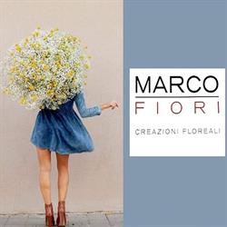 MARCO FIORI, Santa Lucia di Piave orari di apertura