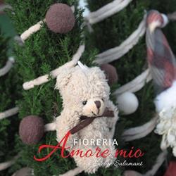 Fioreria Amore Mio, Cividale del Friuli orari di apertura