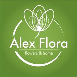 ALEX FLORA Fiorista - Non solo fiori, Alatri orari di apertura