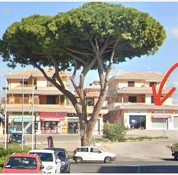 SENTI CHE Bufala Siamo a Tor S Lorenzo - Ardea in Via Della Moletta 1b sul, orari di apertura