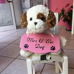 Mrs & Mr Dog, Mondovì orari di apertura