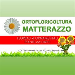 Floricoltura Matterazzo, Piove di Sacco orari di apertura