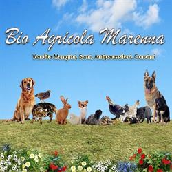 Bio Agricola Marenna, Faicchio orari di apertura