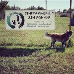 Centro cinofilo Zen Dog asd, Cascina orari di apertura