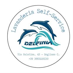 Delfinia-Lavanderia Self, Sogliano Cavour orari di apertura