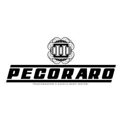 Pecoraro Trasformatori e Avvolgimenti Motori Elettrici di Vincenzo Pecoraro, Nocera Superiore orari di apertura