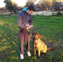 DOG training Giorgio Congedi, Ugento orari di apertura