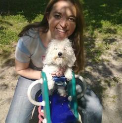 Oltre il Cane, Belluno orari di apertura