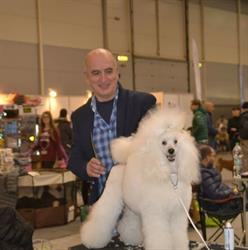 DOG SHOW, Cava de' Tirreni orari di apertura