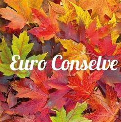 Euro Conselve, orari di apertura