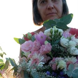 Piante e Fiori Cinzia, Sant'Agata Feltria orari di apertura