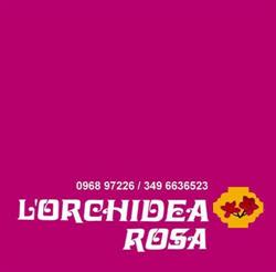 L'Orchidea Rosa, Falerna orari di apertura