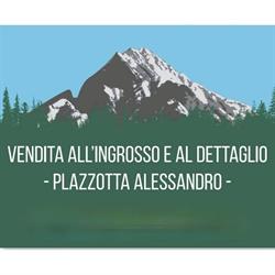 Plazzotta Alessandro - Vendita ingrosso e dettaglio - Tolmezzo, orari di apertura