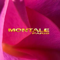 Montale Parfums Milano, orari di apertura