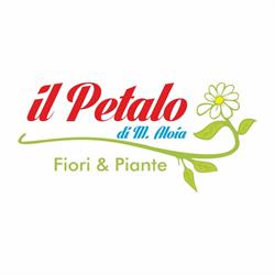 IL Petalo, Capo d'Orlando orari di apertura
