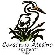 Consorzio Pro Loco Atesino, Pozzonovo orari di apertura