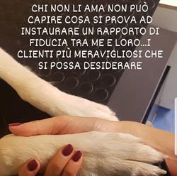 Scodinzolando, Limbiate orari di apertura