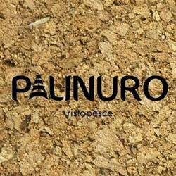 Palinuro ristopesce, Catania orari di apertura