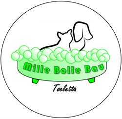 Mille Bolle Bau Tuscolana Toeletta & SPA Professionale di Dario Di Matteo, Roma orari di apertura