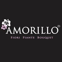 Amorillo Legnano, orari di apertura