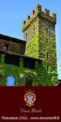 Castello Nove Merli, Piossasco orari di apertura