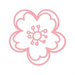 Primula Beauty, Magliano di Tenna orari di apertura